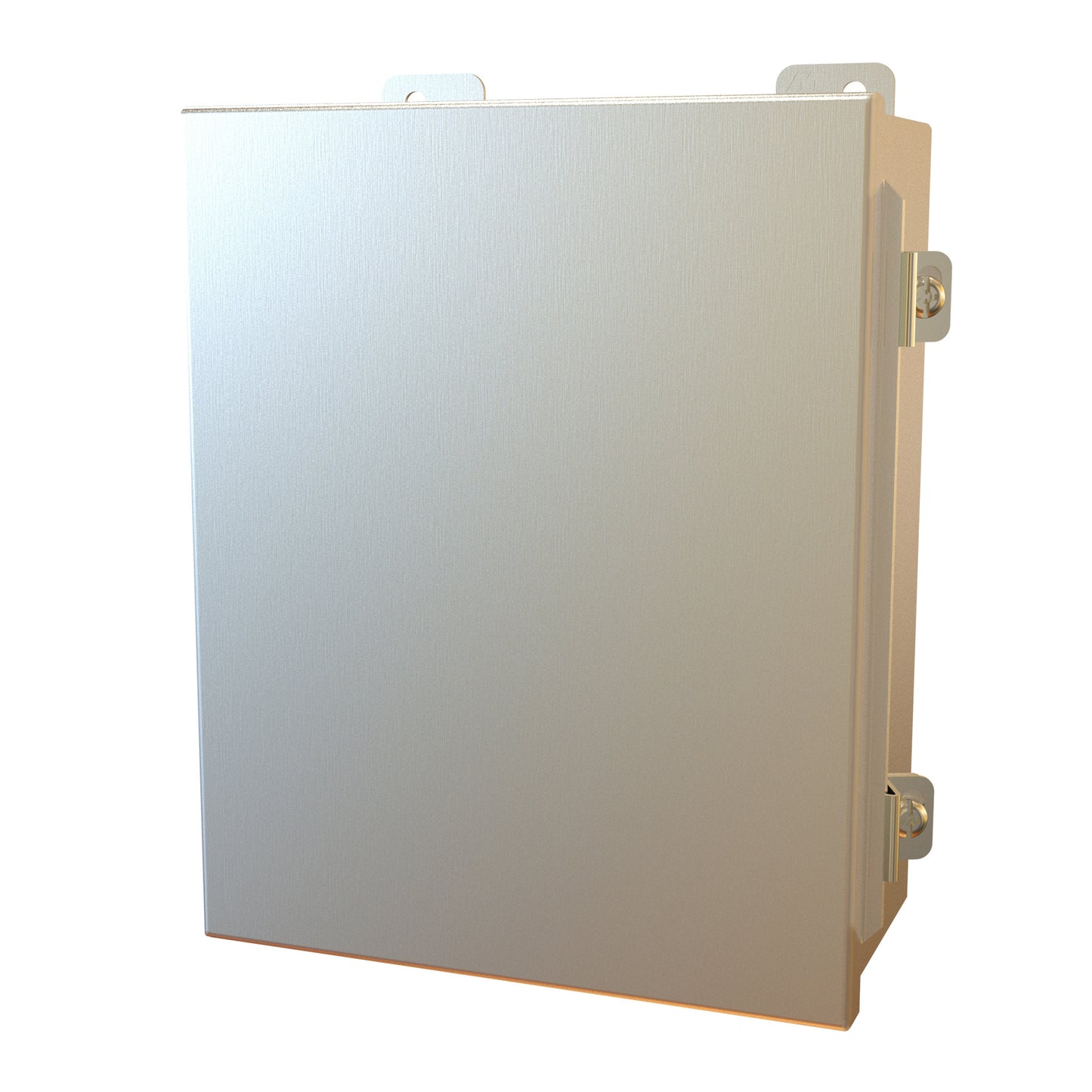 Hammond 1414N4PHS16I N4X Junction Box, Continuous Hinge Door with Clamps, with Panel - 10" x 8" x 4" - 316 Stainless Steel