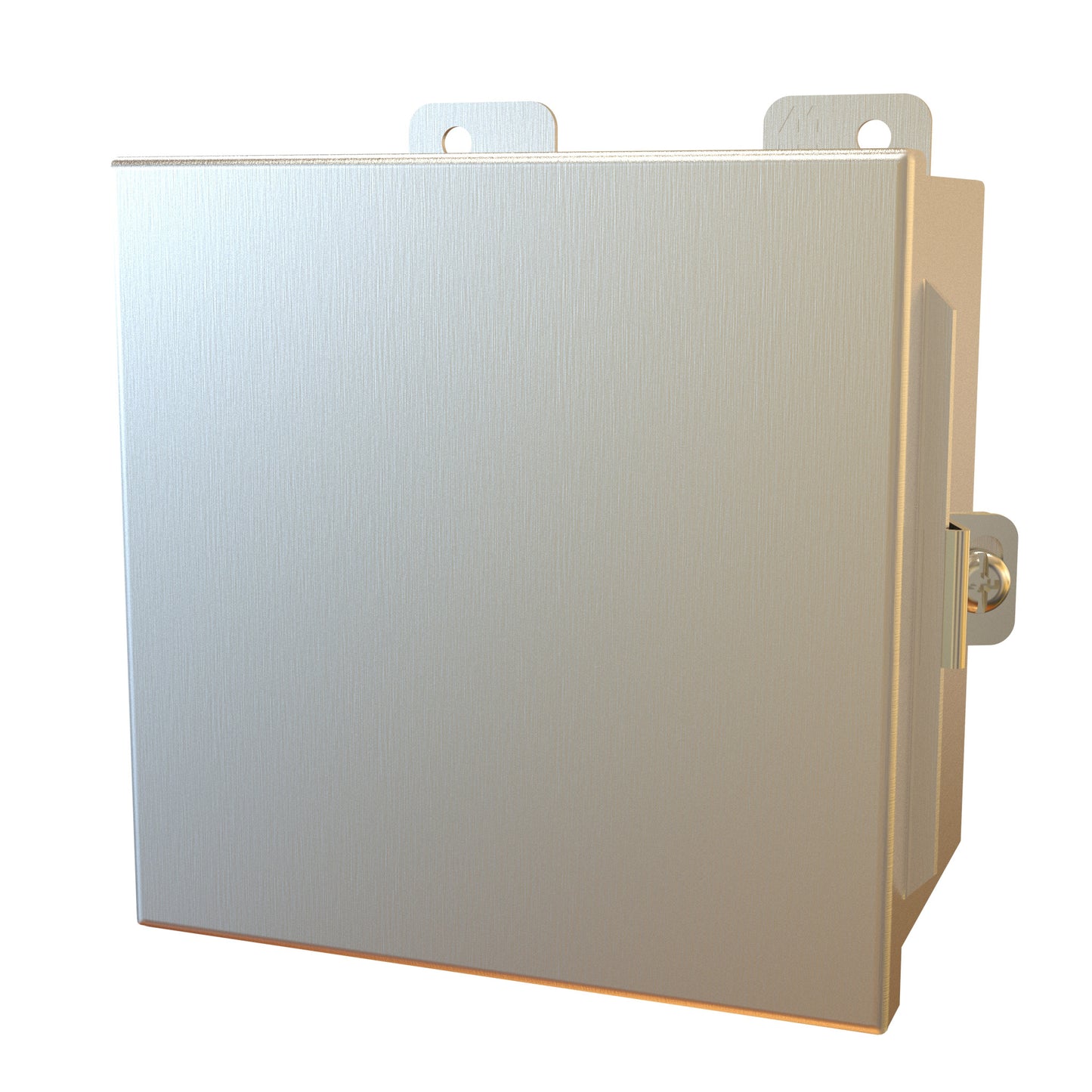 Hammond 1414N4PHSSE N4X Junction Box, Continuous Hinge Door with Clamps, with Panel - 6" x 6" x 4" - 304 Stainless Steel