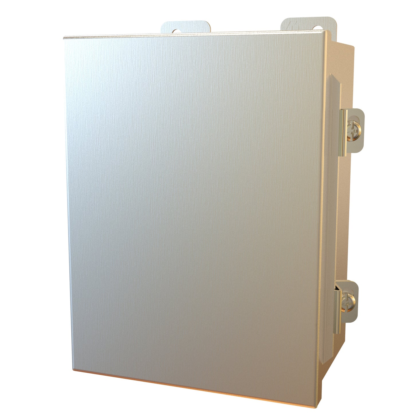 Hammond 1414N4PHSSG4 N4X Junction Box, Continuous Hinge Door with Clamps, with Panel - 8" x 6" x 4" - 304 Stainless Steel