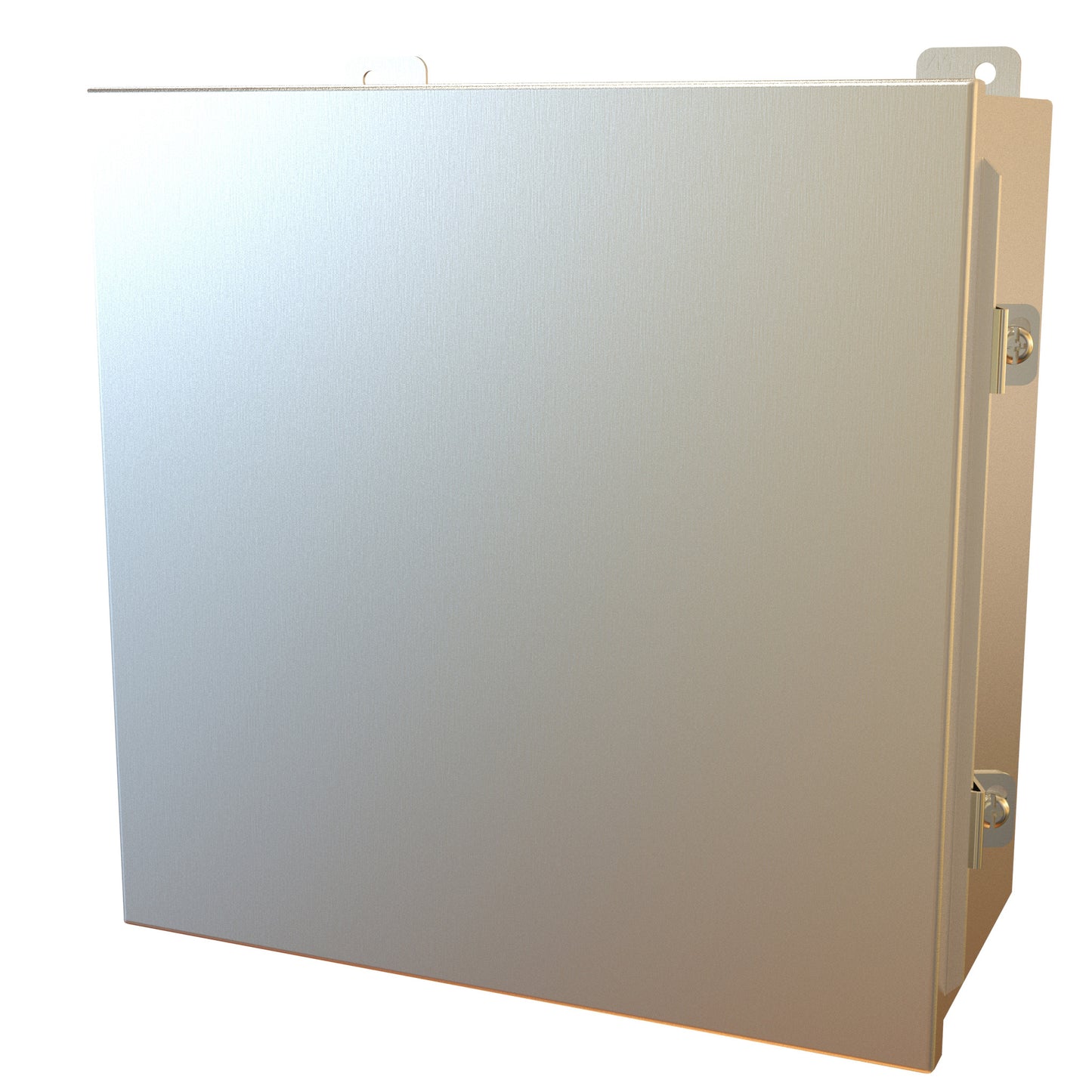 Hammond 1414N4PHSSL6 N4X Junction Box, Continuous Hinge Door with Clamps, with Panel - 12" x 12" x 6" - 304 Stainless Steel